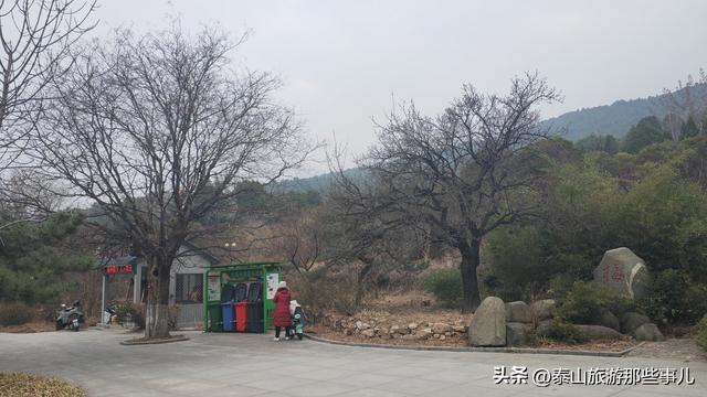 泰安：它是一个梅主题的游园，占地400余亩，暗香浮动，步步皆景