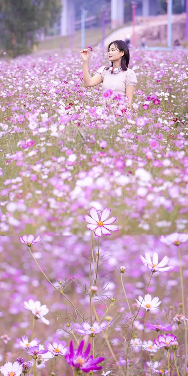 秋日限定!速来围观肇庆的绝美风光~