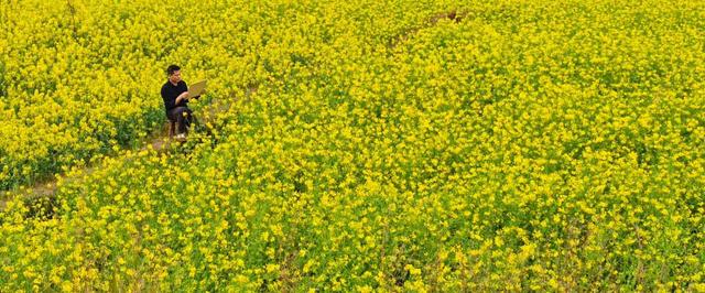 到贵州岜沙苗寨去看油菜花