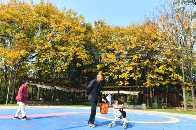 五彩斑斓的白龟湖国家湿地公园