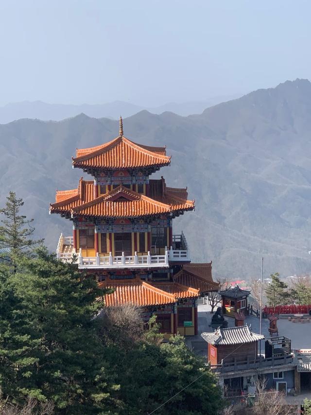 苏州没想到，杭州也没想到，如今的中国洛阳，已成为顶流热地