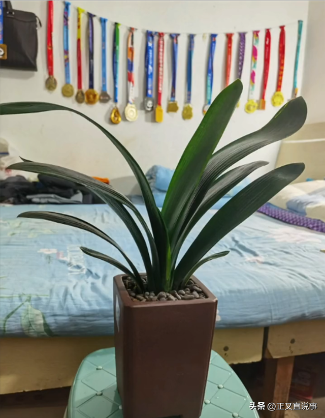 43岁跑友钟长运去世	，距全马终点200米突发疾病，儿子正读高三