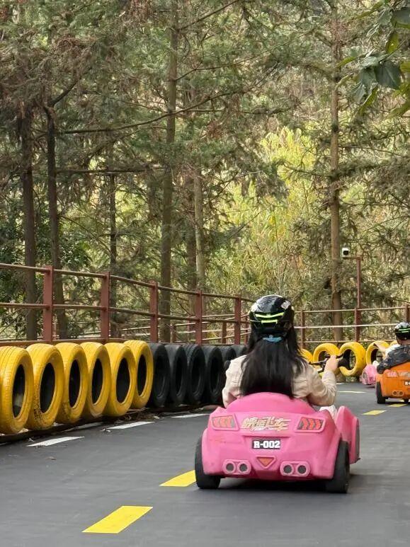 锦鲤土司城“过赶年”火爆开场！千人打年货、山道滑车引热潮！