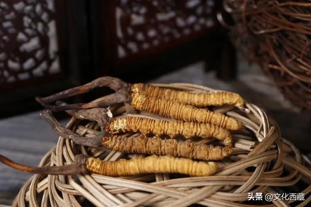 一文掌握西藏旅行！全景资源地图出炉，玩出新高度！