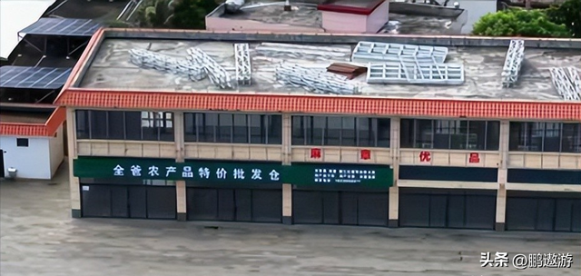 全红婵爸爸用冠军名号赚钱，把流量变成现实红利，网友评论吵翻天