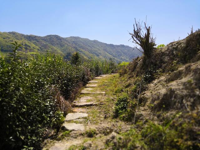 漳州南靖塔下废弃的私塾遗址（2018.3.23）