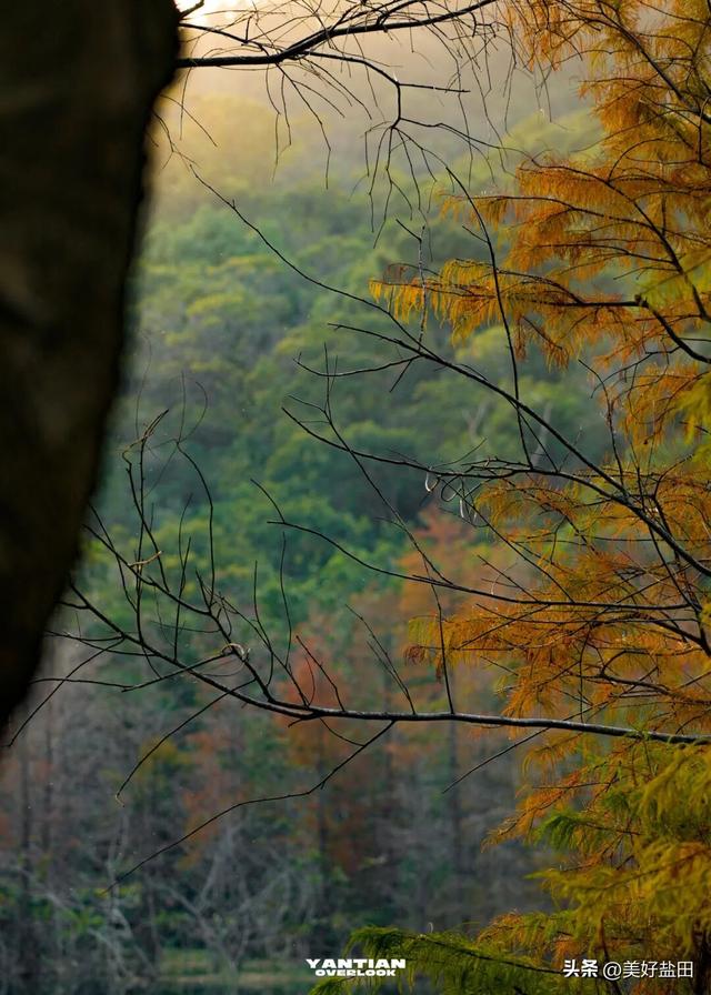 发现深圳“阿勒泰”这些机位的人，真是天才！