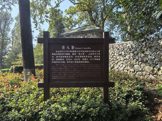 浙江湖州市德清县莫干山国家级风景名胜区游记（上）