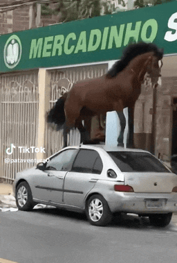 刷到的猫狗视频全是 AI 做的，连教授批学生都是假的，我还能信啥？