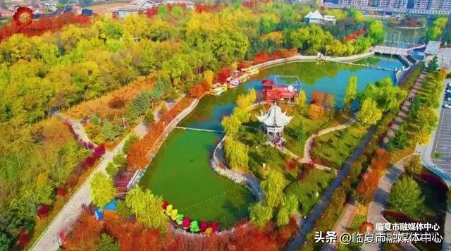 飞阅花都④丨漫步东郊公园 邂逅秋日风光 静享“天然氧吧”