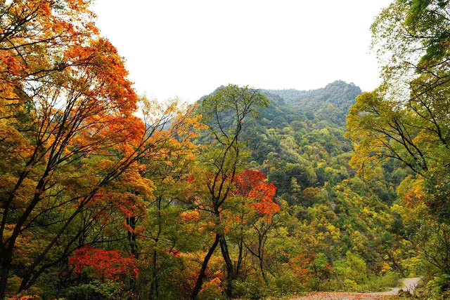 警告！深秋的徽县，千万别出门！因为……
