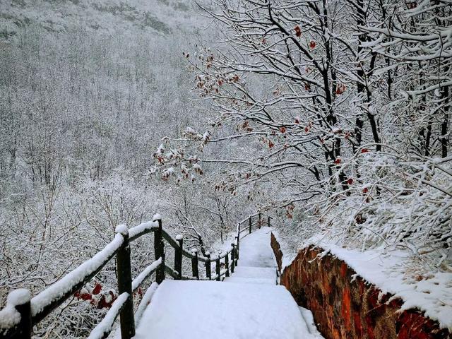 不用去哈尔滨，咱平顶山也有冰瀑雪林