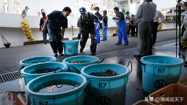 没有回旋余地，中国下令直接收回	，17万日本人泪奔，高市闯祸了！