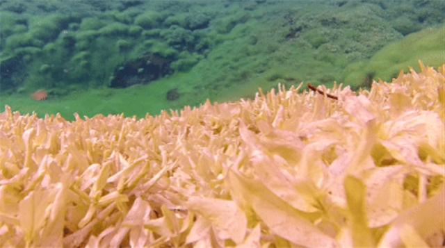 三九严寒“冰上走”！乌拉特中旗这处“不冻泉”却流水潺潺