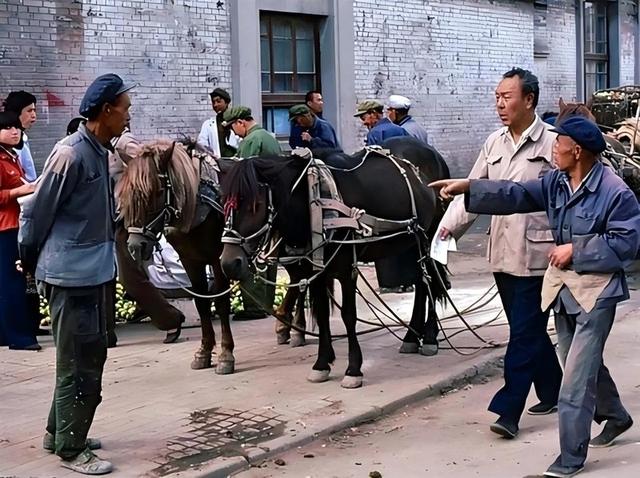 我有房有退休金，和大姐一起搭伙养老真后悔，这是我做过最错的事