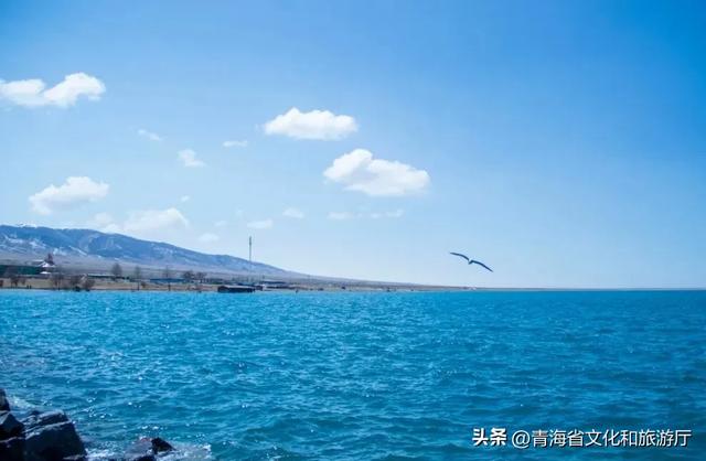 青海湖的秋天，才不是“淡季”