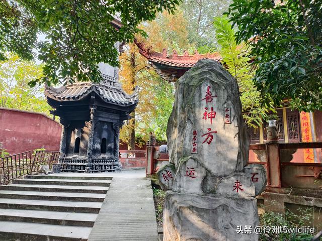 四川行(75)广汉②金雁湖公园·黑塔街·龙居寺