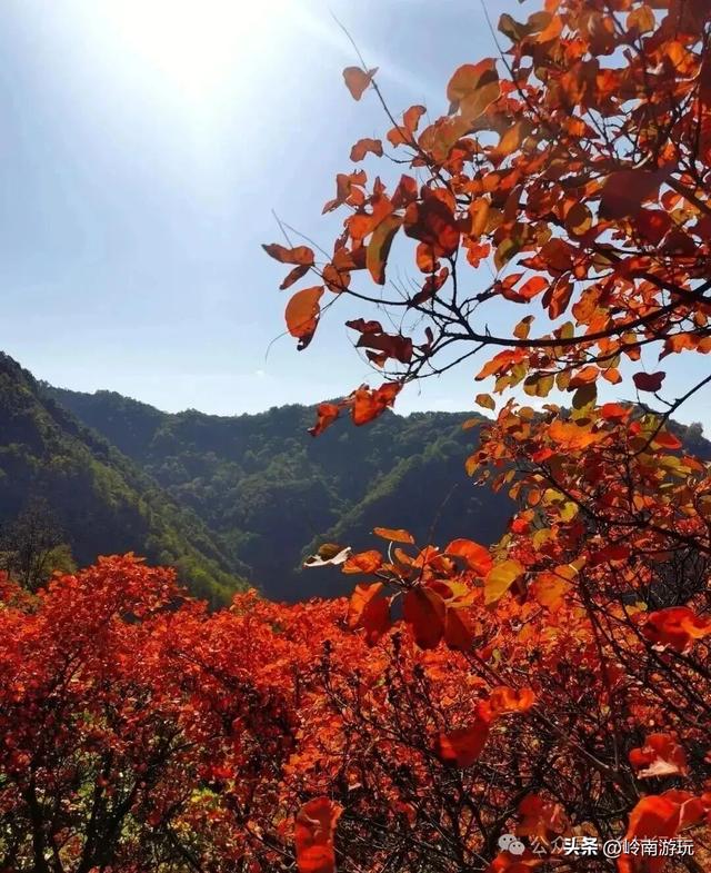 陕西各地最经典的赏秋景点，人少景美还省钱，错过就要再等一年！