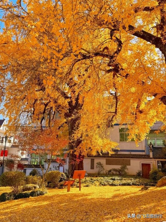 杭州出发两小时车程圈：六大乡村山水田园秘境全攻略