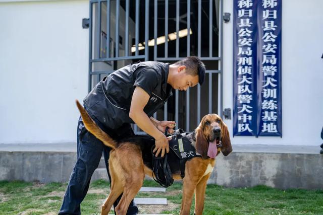 哈瑞，闻着味儿就来了！