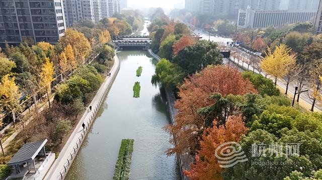 “深秋多巴胺”上新！ 在家门口遛弯就能邂逅莫奈限定版河道美景