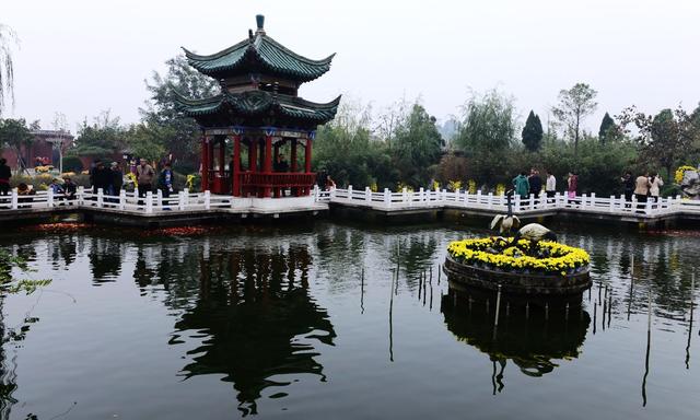 以菊为媒，文化搭台、经济唱戏——开封第43届菊花文化节