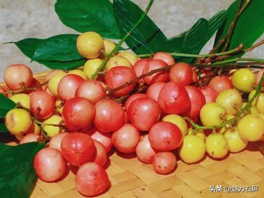 是阳光的味道啊！丨有一种叫云南的生活之365天