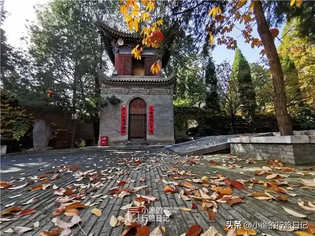 老西安私藏的赏秋秘境，免费、人少、秋色绝美！