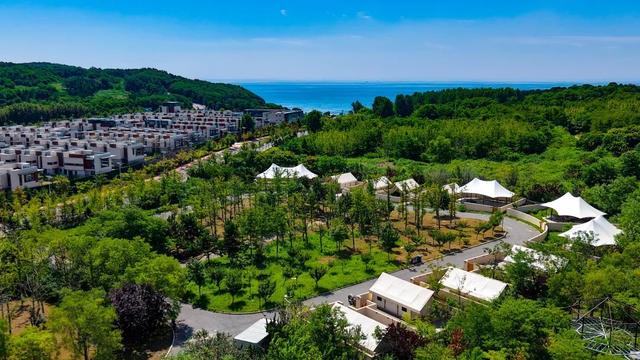 🎵汽水音乐节登陆大连金石滩！超全出行+住宿+玩乐+美食攻略来了！