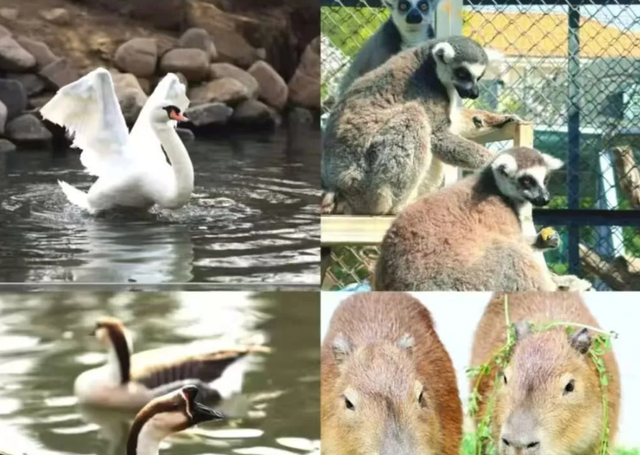 临沂人游临沂 | 一大波景区优惠福利来了