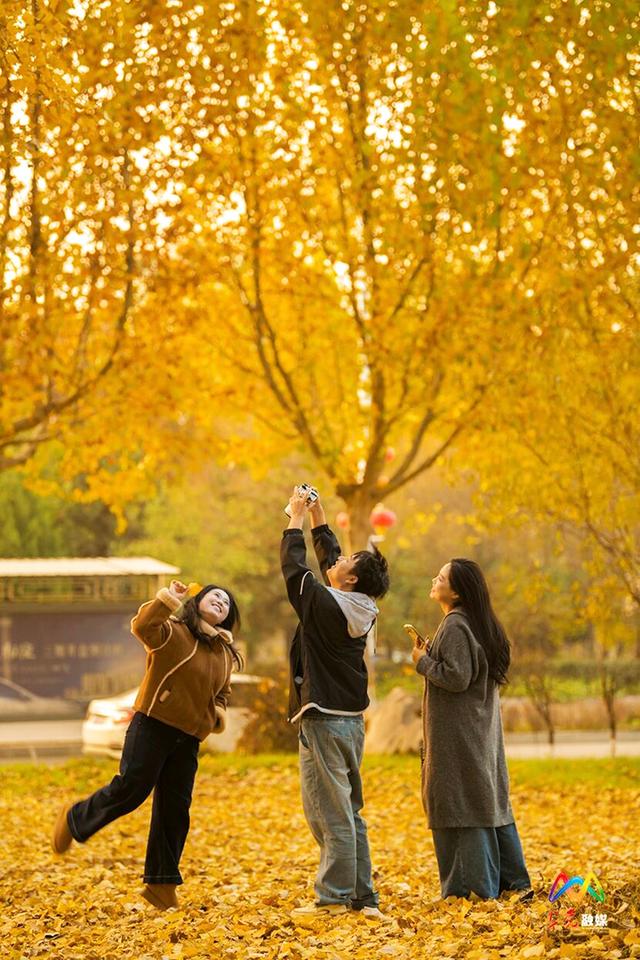 出片率100%！上党区郭堡村含“金”量不断上升