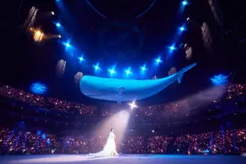 有接驳车、有观演指南！刘若英演唱会最新攻略图片