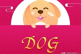 生肖狗的2025年吉凶方位及喜忌月份注意事项图片