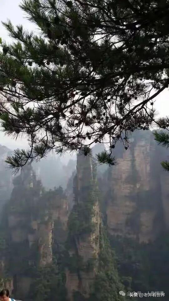 年轻的张家界 || 胡成江