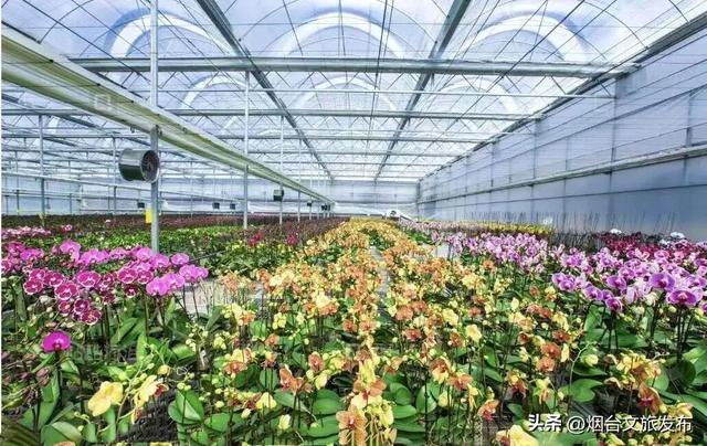 【乐游烟台】新晋遛娃地，烟台这家自然乐园超好玩