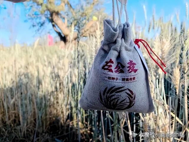 左公精神照天山：哈密如何让“收复新疆”的历史“活”在当下