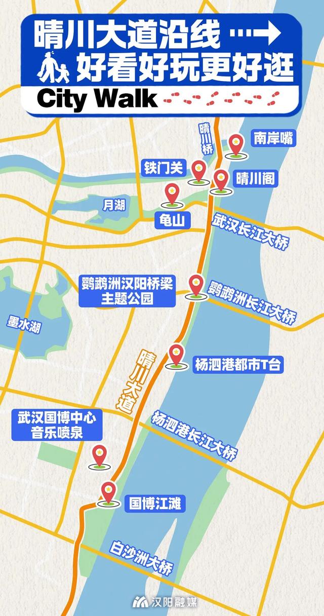 上央视！汉阳这条大道凭什么成顶流？