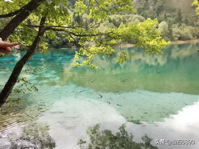 丁怀华：《神奇九寨沟 人在画中游》