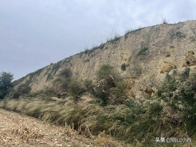呼和浩特市托克托县田野考察笔记
