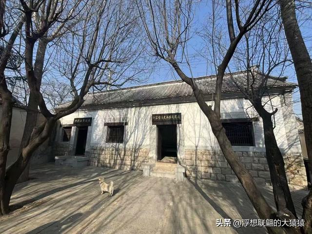 泰安肥城西陆房村里的大白菜