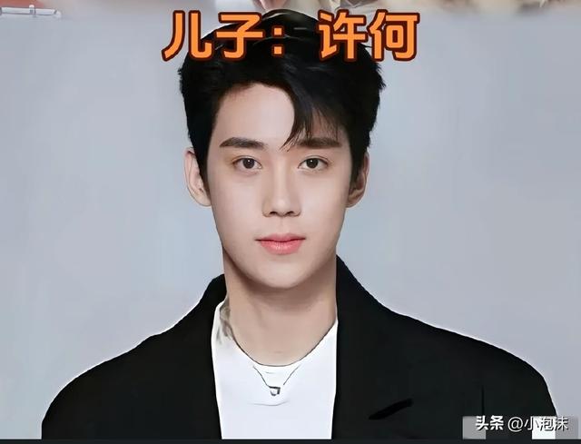 与许亚军离婚后，儿子成了何晴的精神寄托，与脑瘤抗争十年未诉苦