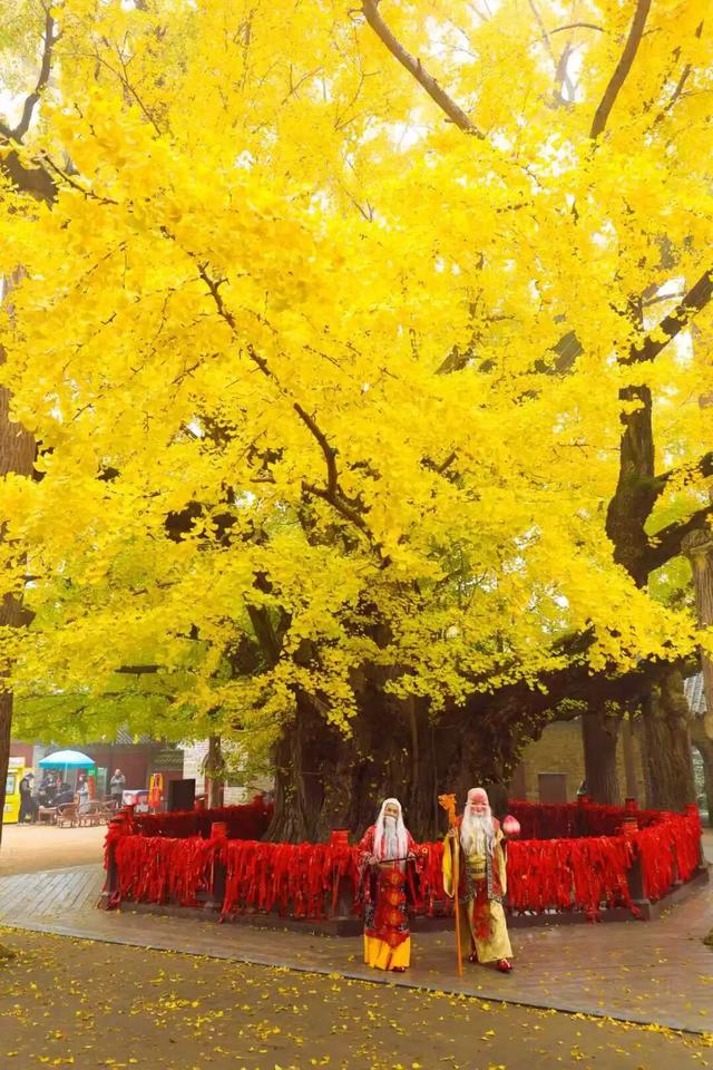 壮观！震撼！很多人都去看了！就在日照这里！