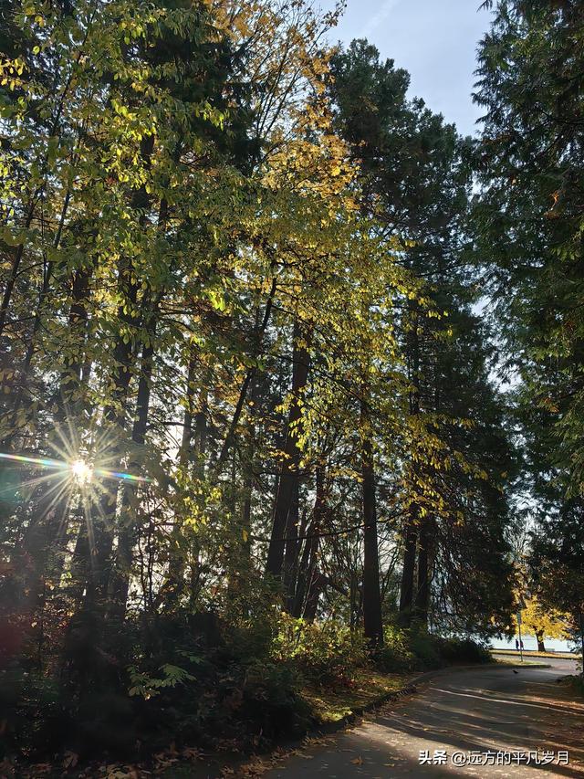 温哥华游记（四）