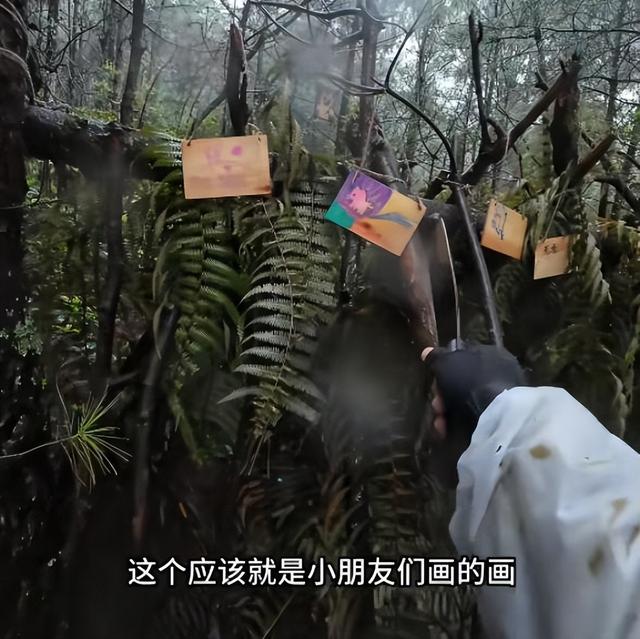 自闭男童尸检出炉！死因曝光，不是溺亡，家属发声，残酷内幕被扒