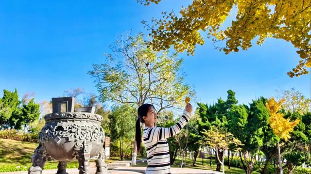 @everyone,初冬来老北山撒欢吧!