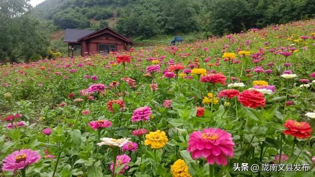 寨科桥游记
