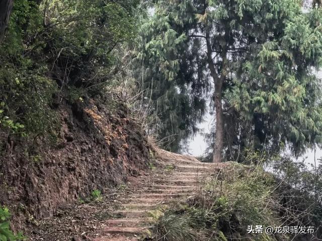 龙泉山“画马”官方安全线路来了！邀市民登山迎马年