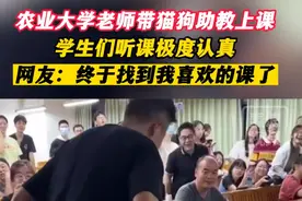 农业大学老师带猫狗助教上课图片