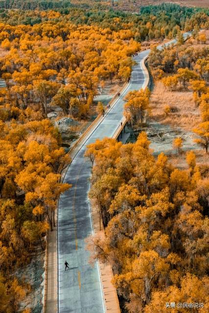 470万亩胡杨林带你秋游大美新疆