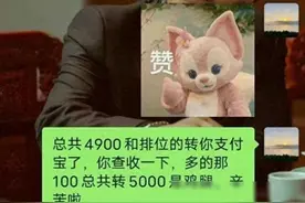 胖猫事件后续：网友订外卖送行，华莱士回应空包，网友怒了！图片